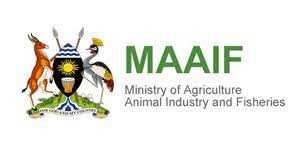 MAIF logo